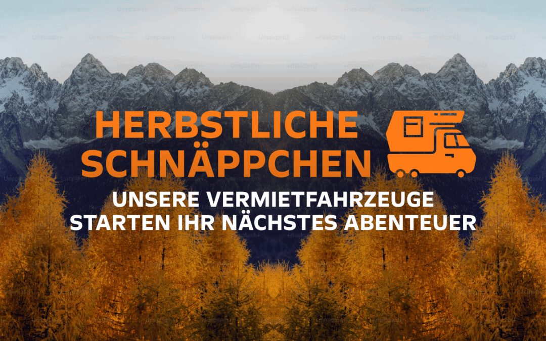 Herbstliche Schäppchen
